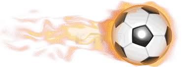 fb体育（官网）专业体育直播入口_多样化赛事频道实时更新