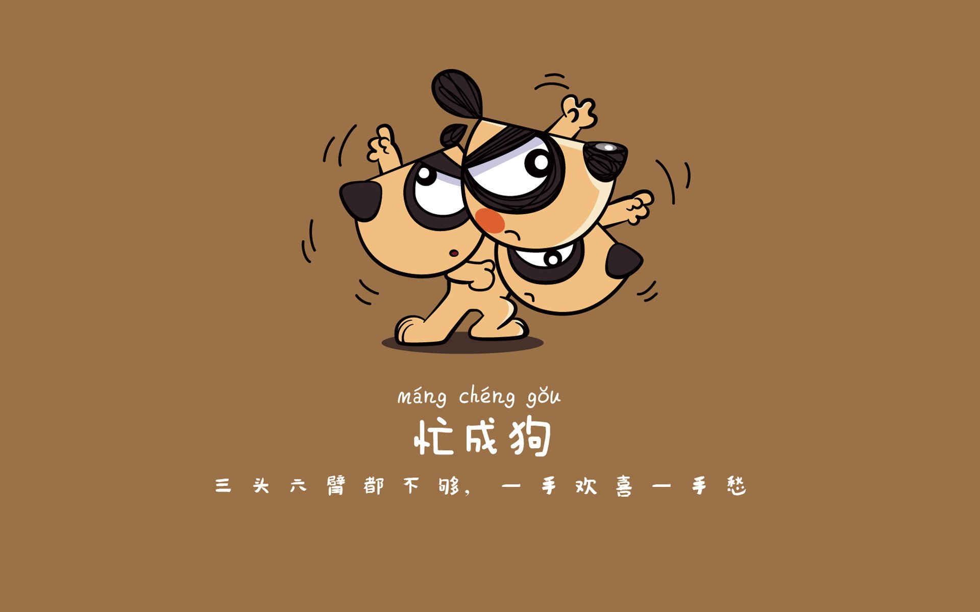 _环湖水上运动节：水域中的速度与激情_，环湖赛是哪一年开始举办的
