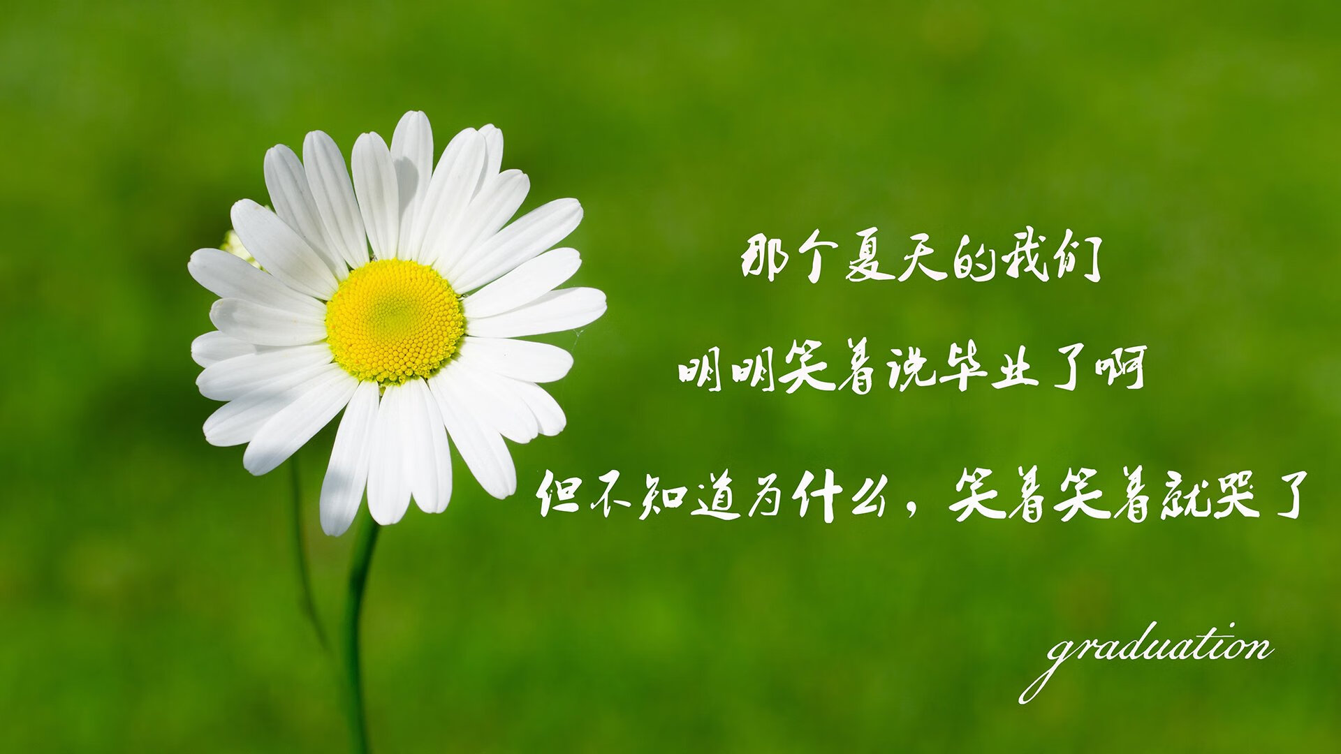 FB体育注册网址-青少年篮球运动会“全民参与”高潮迭起，普及率不断提升，青少年篮球赛事