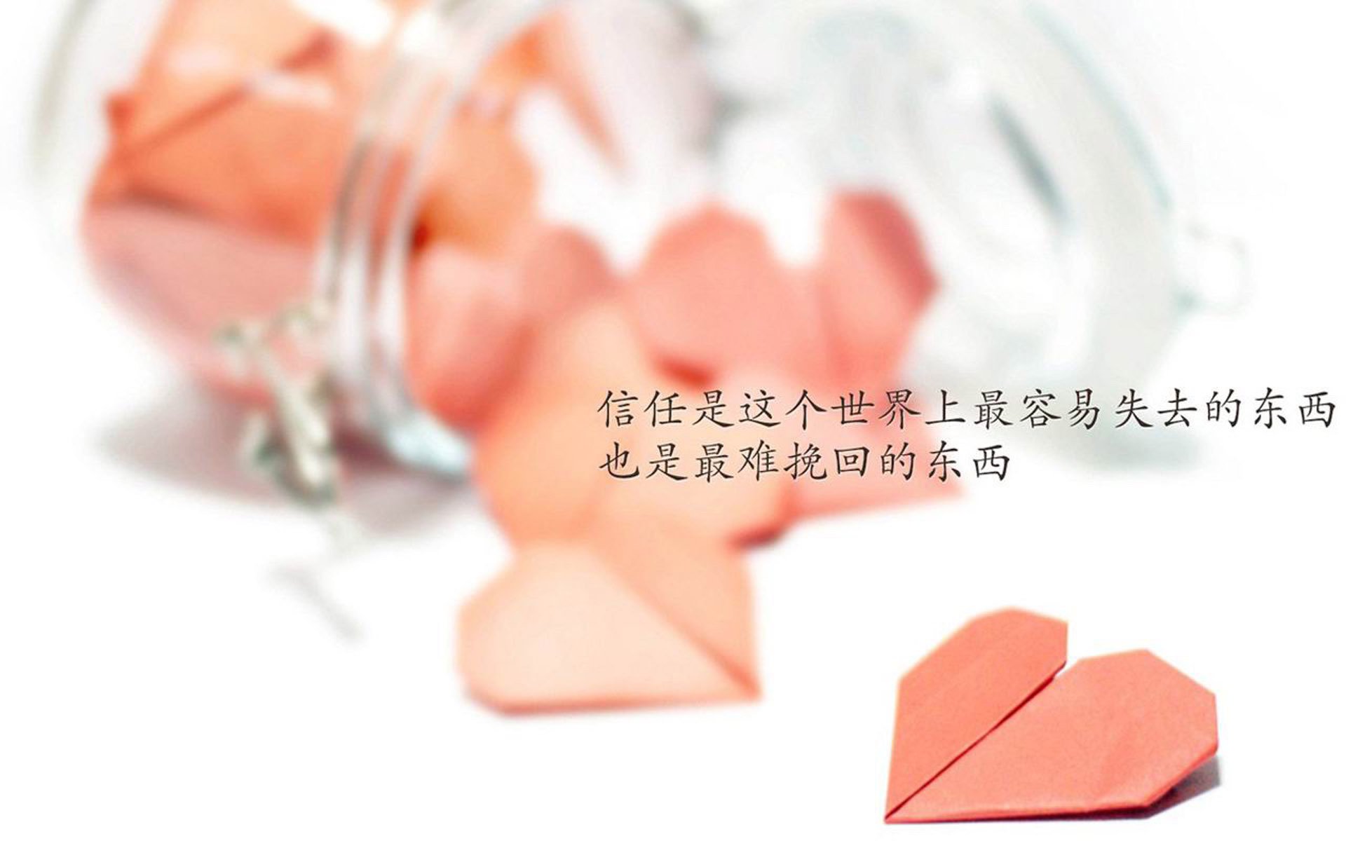 fb体育官网首页-上海海港备战重要联赛比赛，上海海港比赛地点