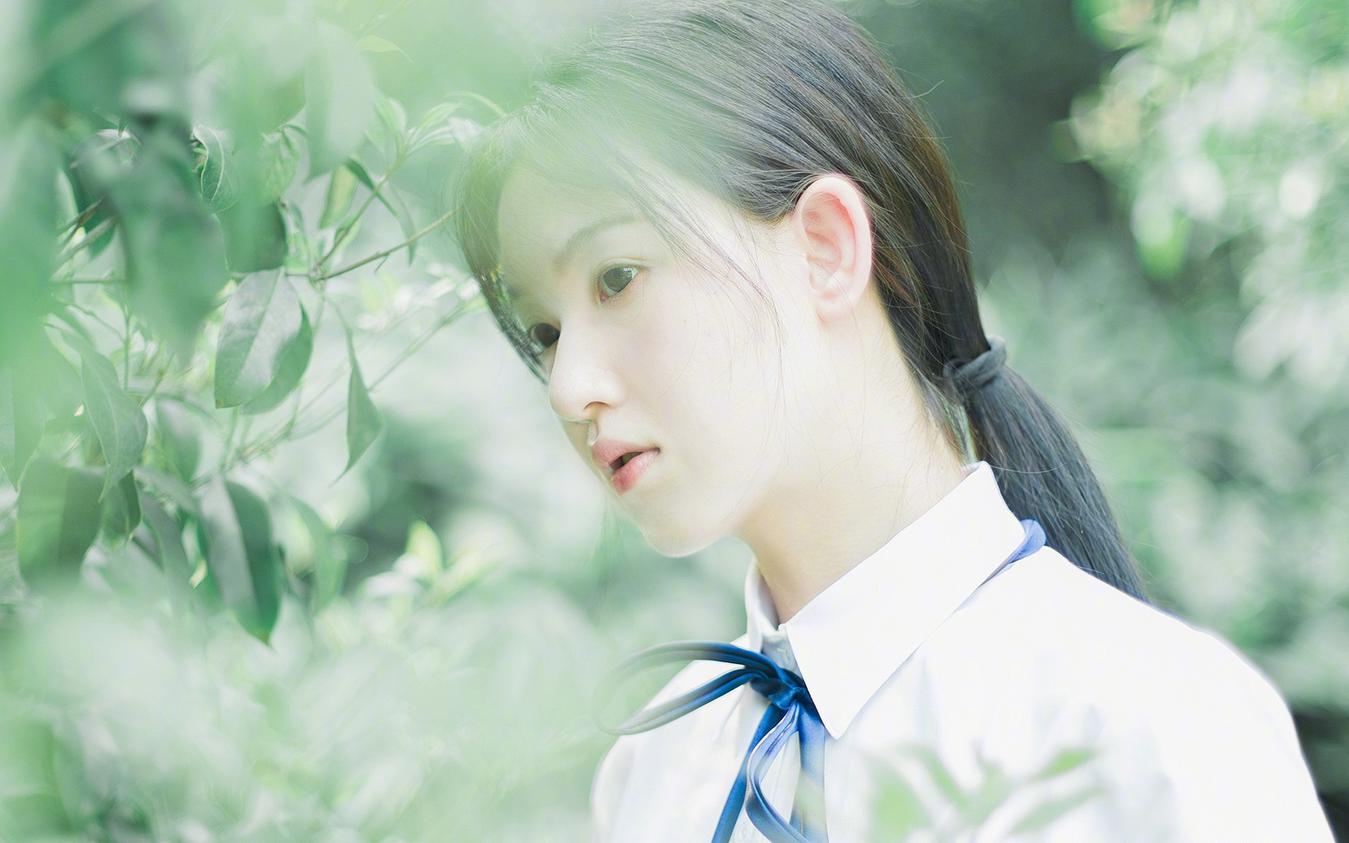 巴西队全力以赴，迈向火焰之路，巴西队经典比赛