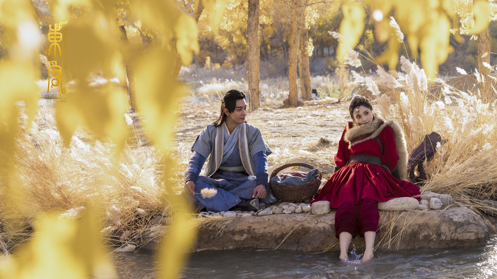 荷兰女足在预选赛中以0-2不敌德国,未能晋级巴黎奥运会,从青涩菜鸟到世界亚军,飞翔的荷兰女足还有未来