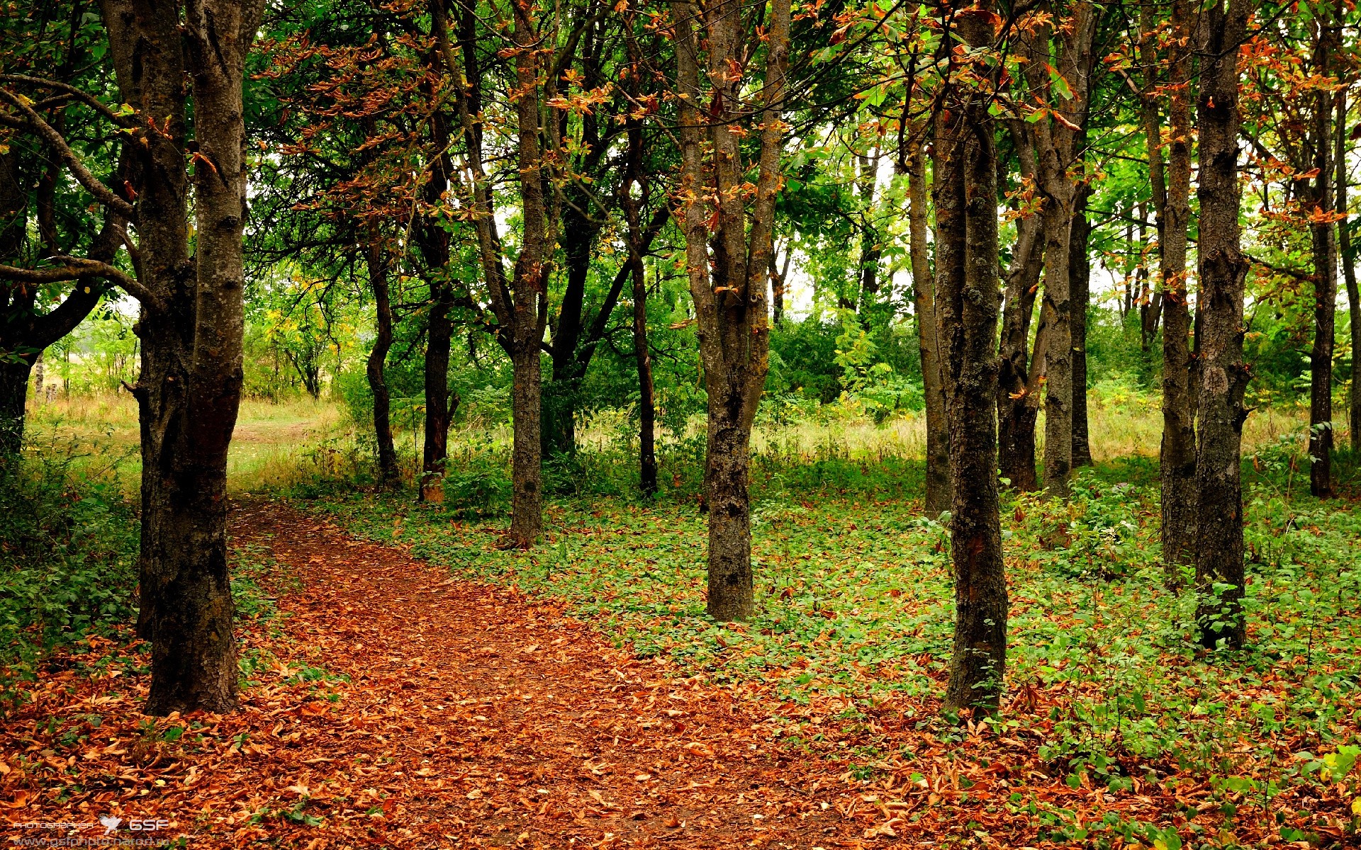 继续教育需求分析,继续教育需求分析简短