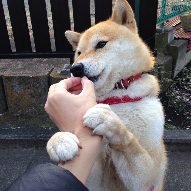 FB体育娱乐-“2025世界运动会：运动舞蹈赛事，音乐激发创意，舞步演绎无尽可能”