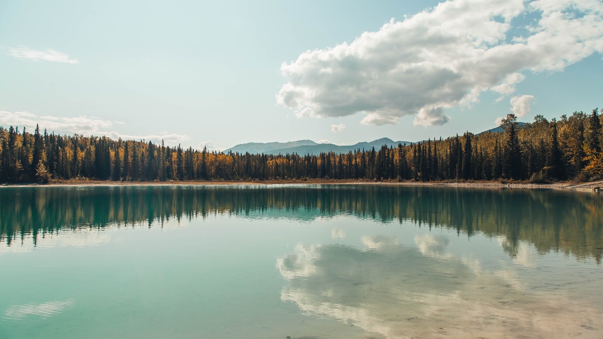 “牛仔3K亲子跑:亲子共同体验跑步乐趣”