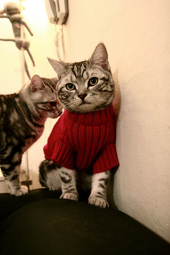 东亚杯国足战平 球迷呼吁提升整体实力,东亚杯国足1比2日本