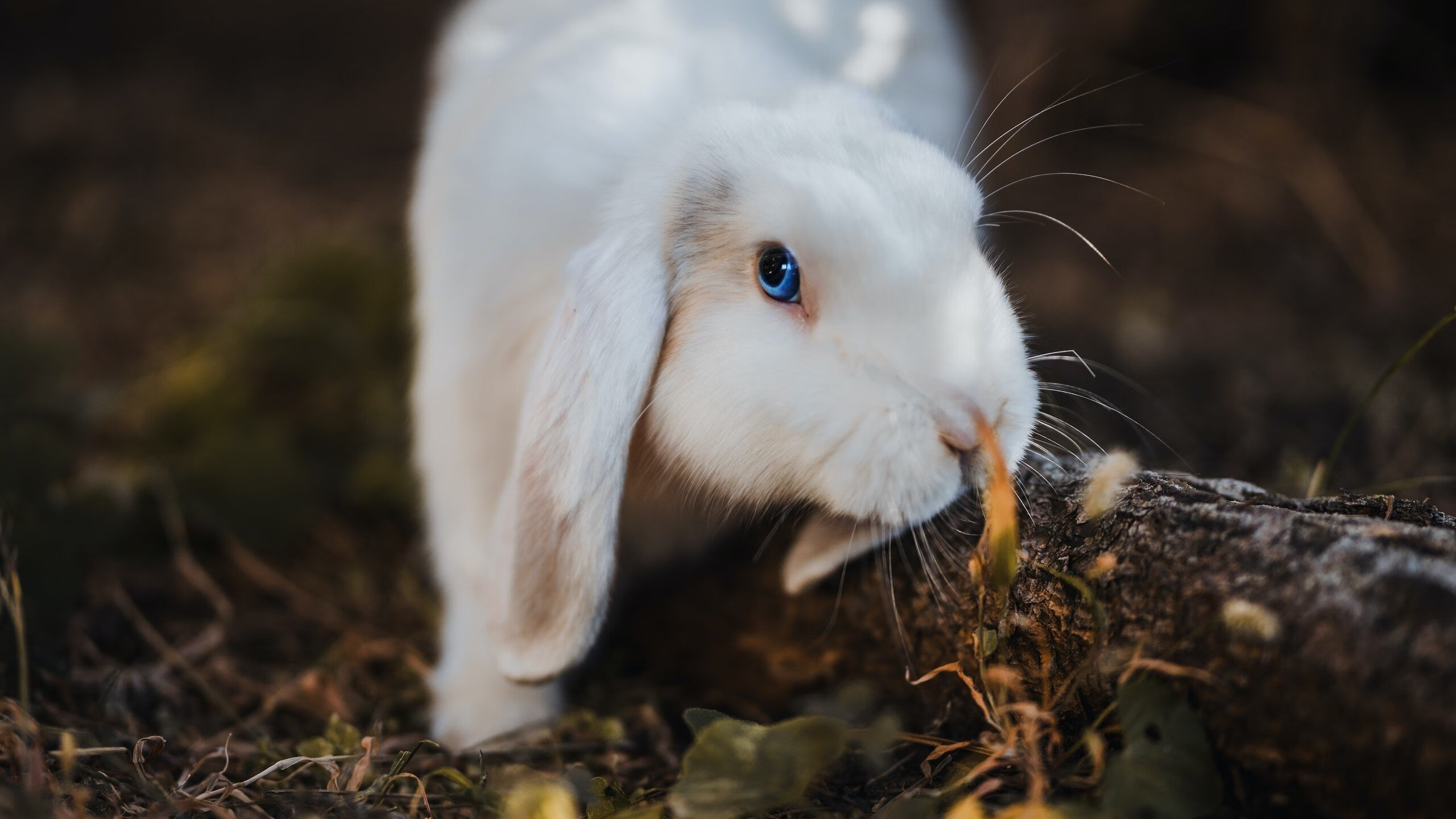 体育新闻中心推动体育赛事多元化内容产品开发,体育赛事有哪些推广策略